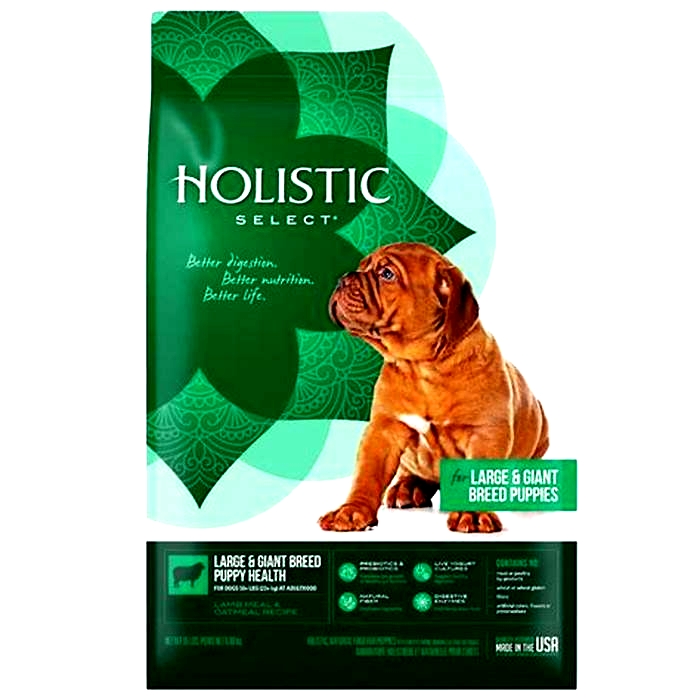 A Closer Look at Holistic Pet Food: Is It Right for Your Puppy?