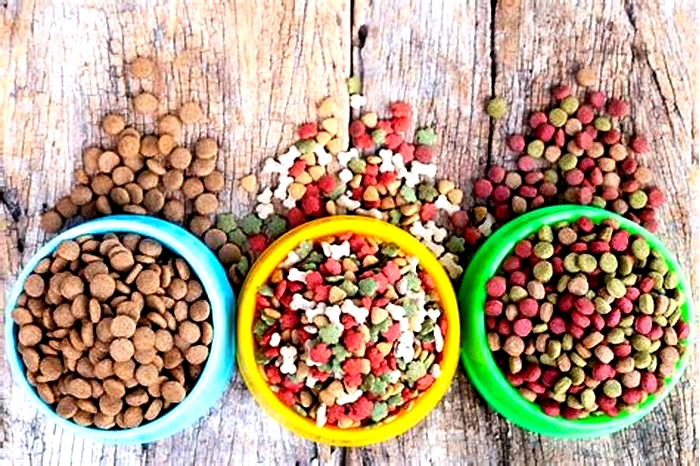 A Closer Look at Top Breed Pet Food: Is It Right for Your Dog?