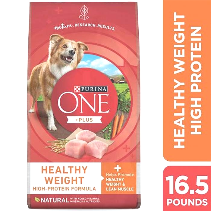 A Comprehensive Look at Dry Dog Food Formulas Ideal for Supporting Weight Loss