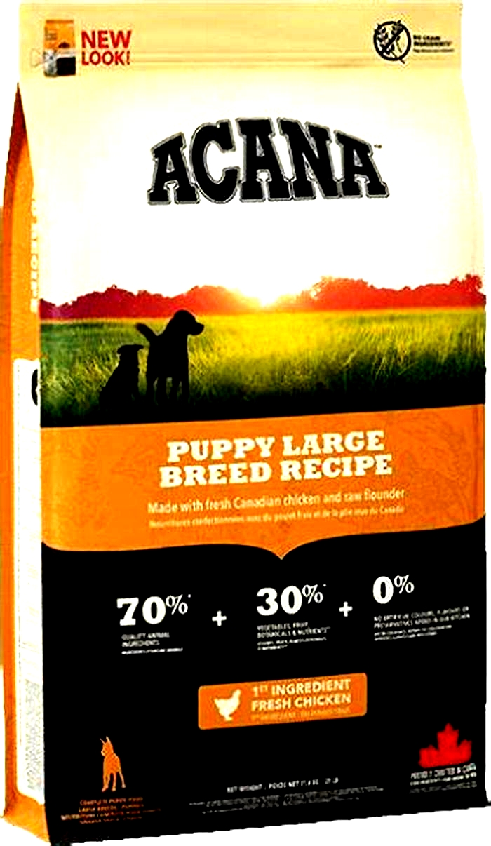 all about dog food acana