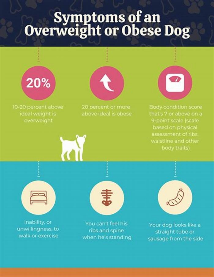 Battling Canine Obesity The Role of Nutrition in Weight Management