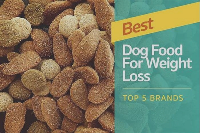 best dog food for weight loss