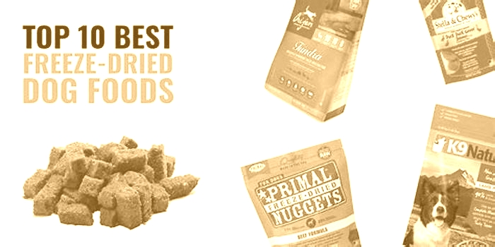 best freeze dried dog food