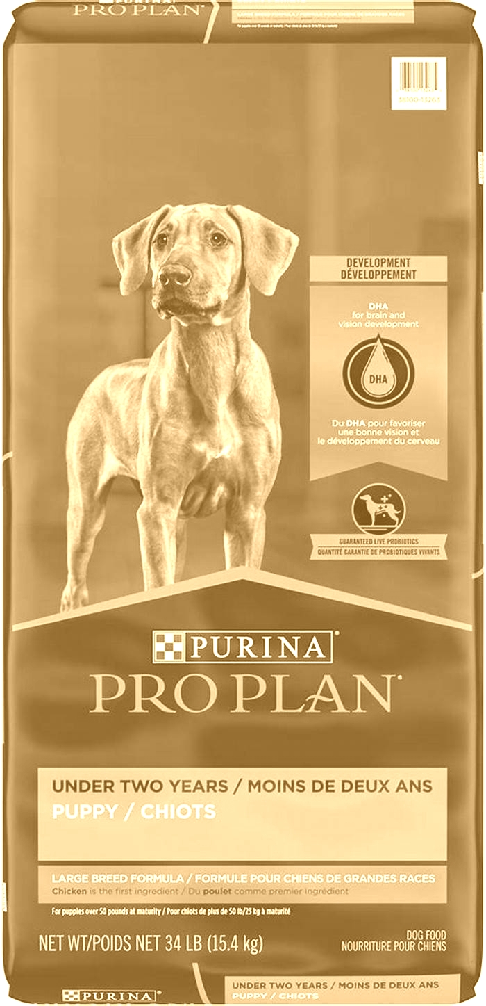 best large breed puppy food