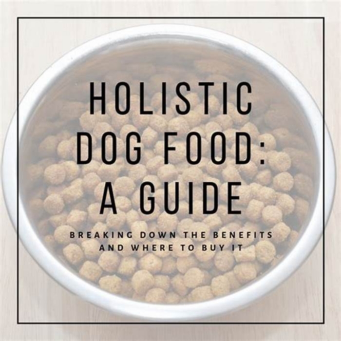 Choosing Holistic Pet Food: A Decision That Makes a Difference in Your Puppy's Life