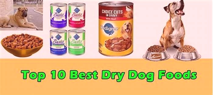 Choosing the Right Dry Dog Food to Aid in Weight Loss