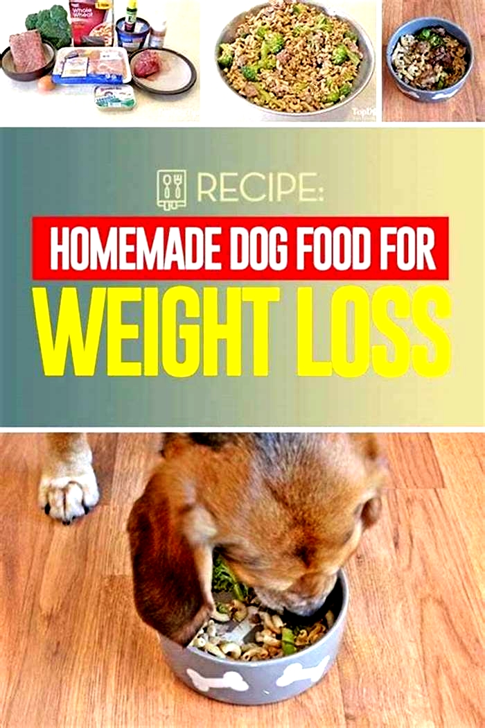 Cooking Up a Storm for Your Furry Friend: Homemade Dog Food for Weight Loss