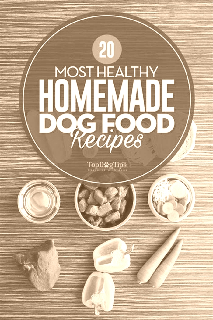 Crafting a Healthier Diet for Your Dog Homemade Food Ideas for Weight Management