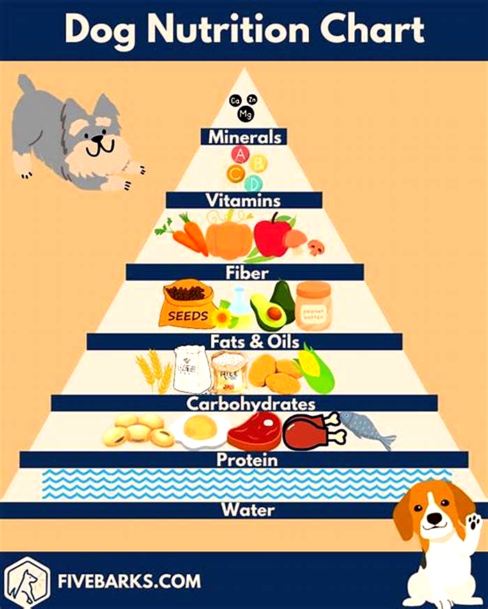 Designing a Nutritious Dog Diet Plan to Combat Obesity Tips for Success