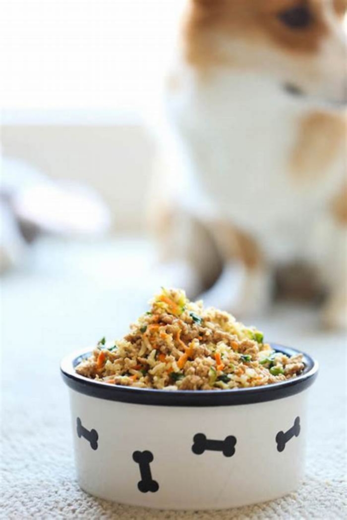 DIY Doggy Dinners for Weight Loss Homemade Recipes for a Healthier Pup