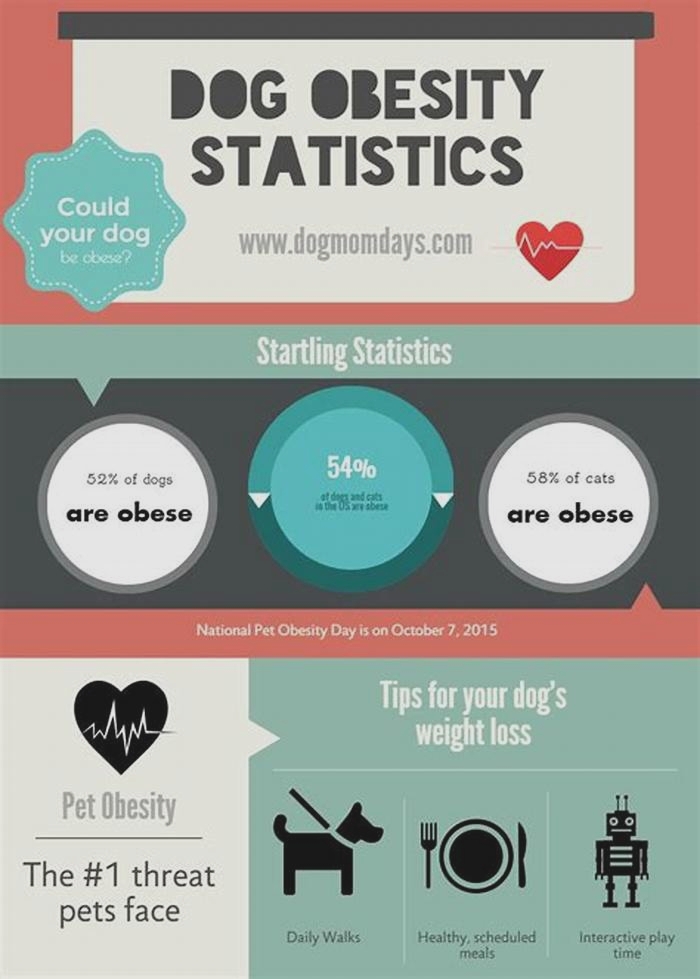 dog obesity statistics