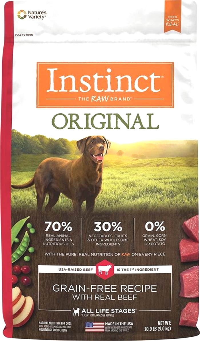 Effective Dry Dog Food Brands for Supporting Weight Loss