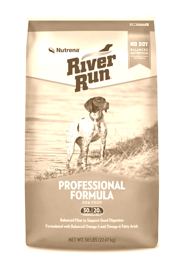 Elevate Your Dog s Diet Discovering the Benefits of River Run Dog Food