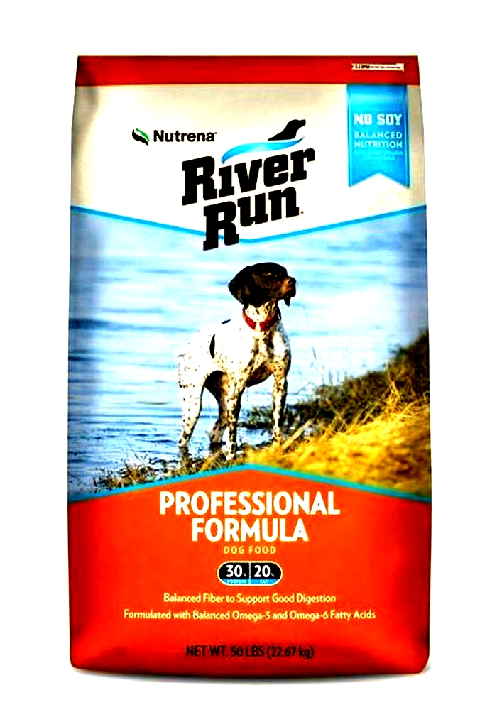 Elevate Your Dog s Diet The Benefits of Incorporating River Run Pet Food