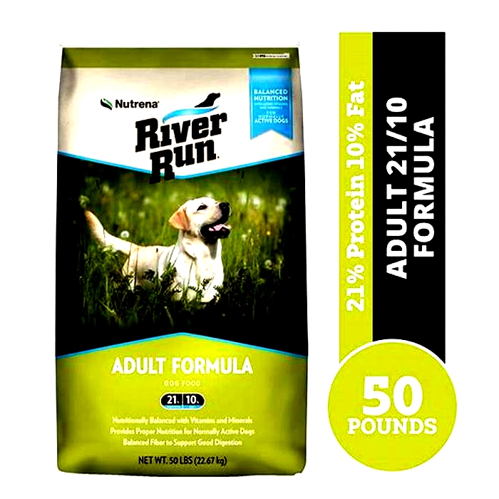 Elevate Your Dog s Diet Understanding the Benefits of River Run Pet Food