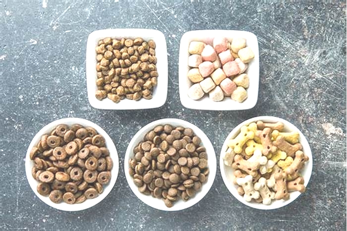 Elevate Your Dog's Well-Being: Understanding Top Breed Pet Food Ingredients