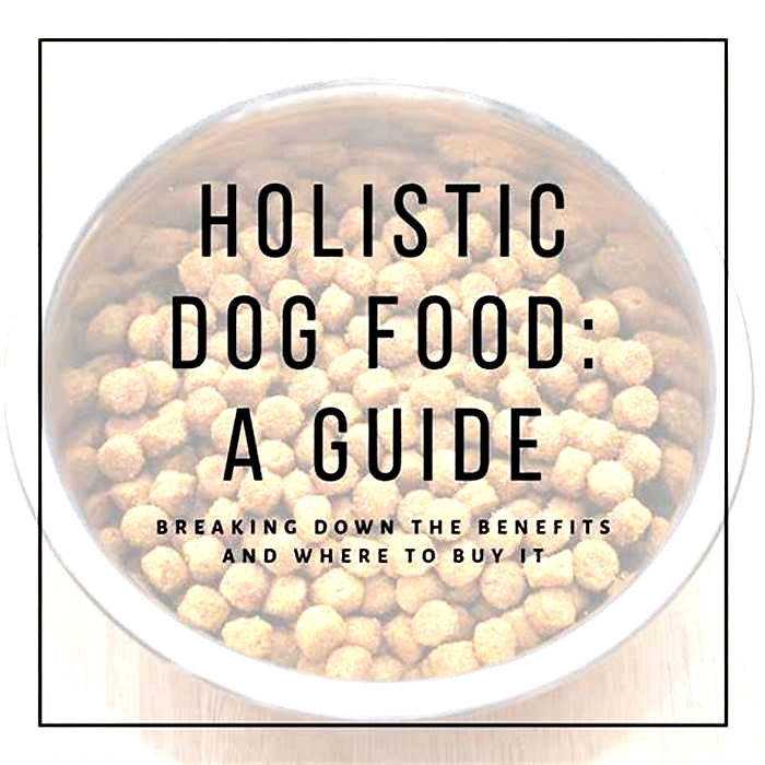 Elevate Your Puppy's Diet: Discovering the Benefits of Holistic Pet Food