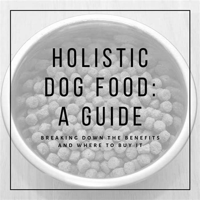 Elevate Your Puppy's Diet: The Benefits of Incorporating Holistic Pet Food