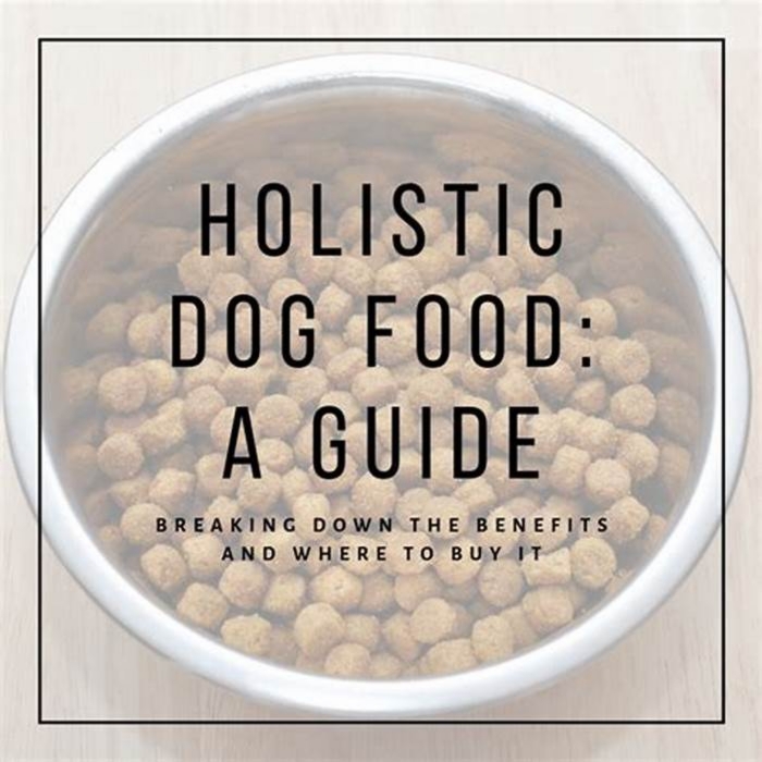 Elevate Your Puppy s Well Being Understanding Holistic Pet Food Ingredients