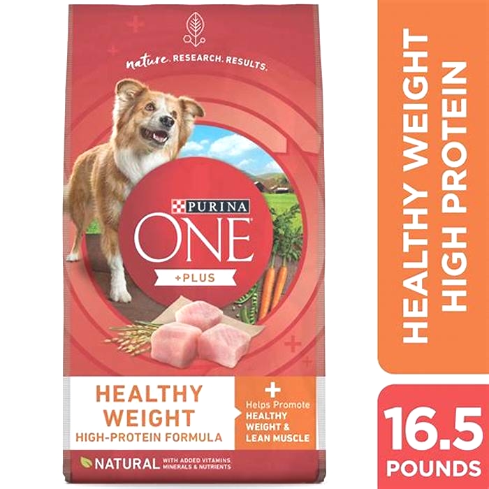 Elevating Your Dog s Diet with the Best Dry Food Options for Weight Management