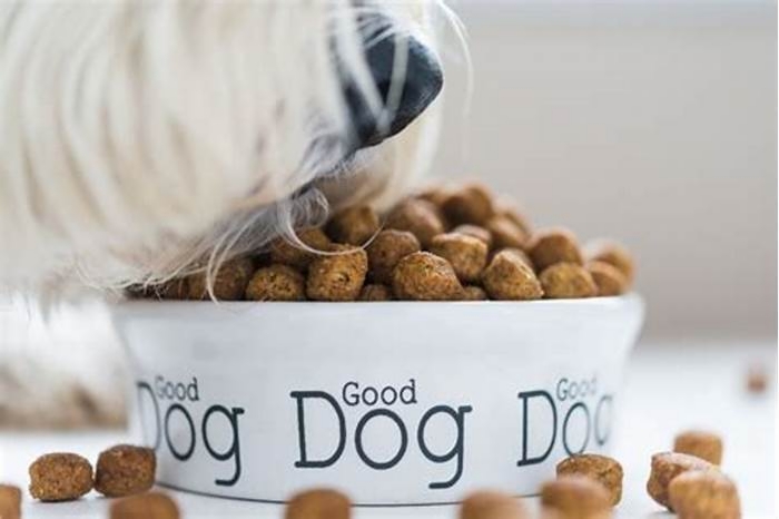 Elevating Your Dog's Health: Exploring the Nutritional Value of Top Breed Dog Food