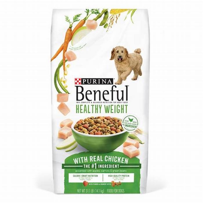 Elevating Your Dog s Health with the Best Dry Food for Weight Management