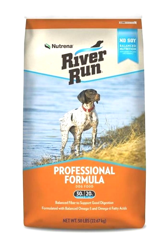 Elevating Your Dog s Nutrition The Power of River Run Dog Food