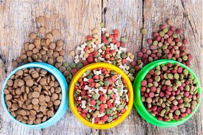 Elevating Your Dog's Quality of Life: The Benefits of Top Breed Pet Food