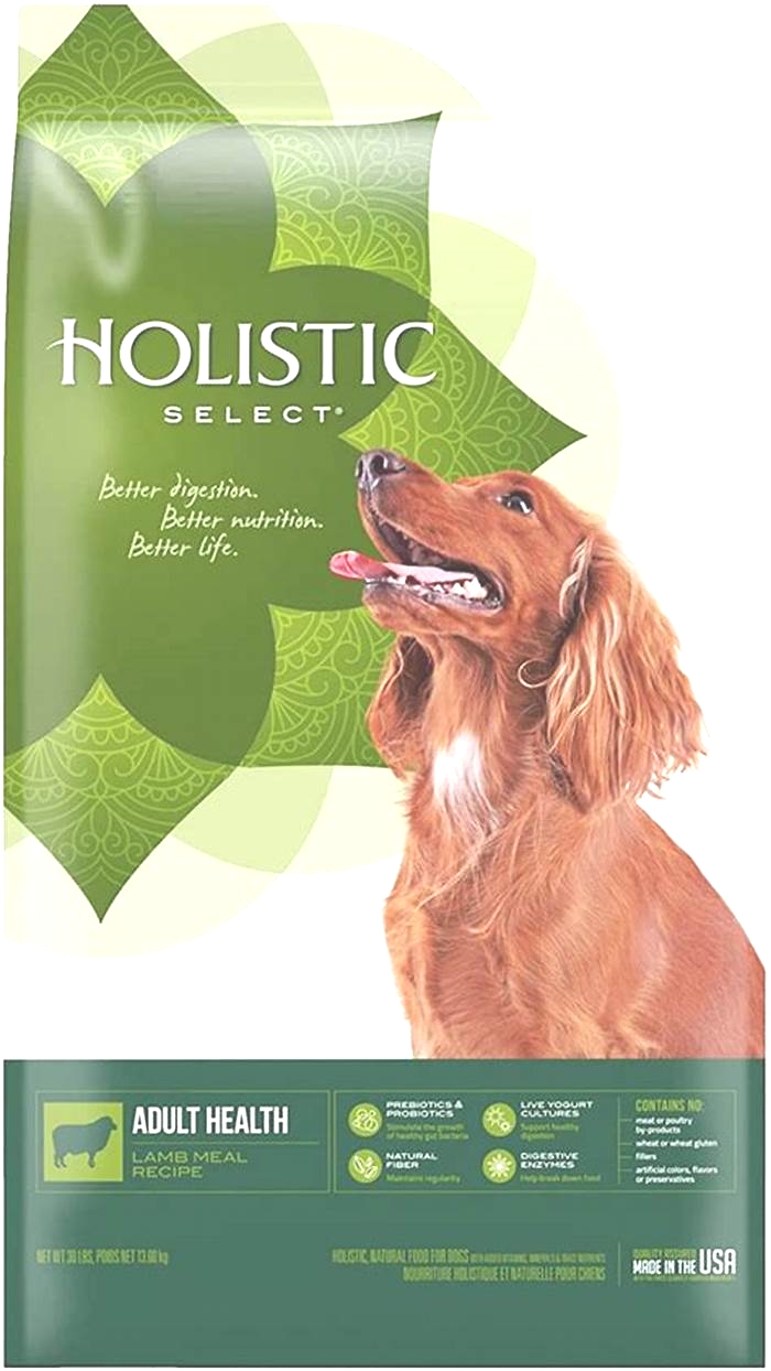 Elevating Your Puppy s Health and Happiness Exploring the Power of Holistic Pet Food