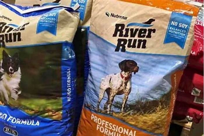 Enhancing Canine Health The Benefits of Choosing River Run Dog Food