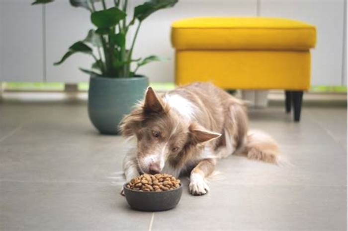 Enhancing Puppy Health The Benefits of Choosing Holistic Pet Food