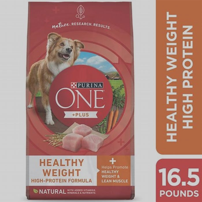 Enhancing Your Dog's Nutrition with the Best Dry Food for Weight Management