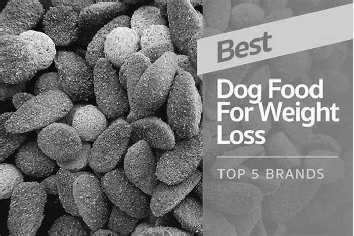 Essential Factors to Consider When Selecting Dry Dog Food for Weight Loss