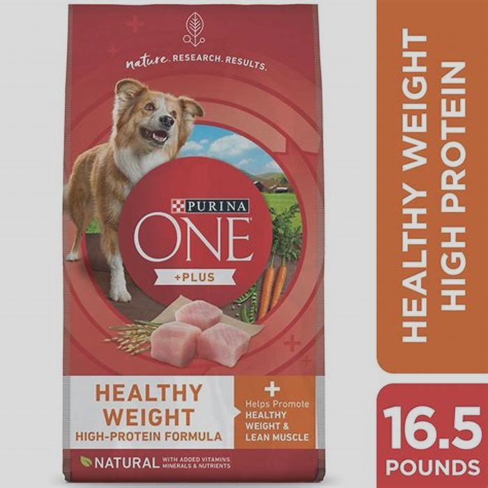 Essential Features to Look for in Dry Dog Food for Successful Weight Management