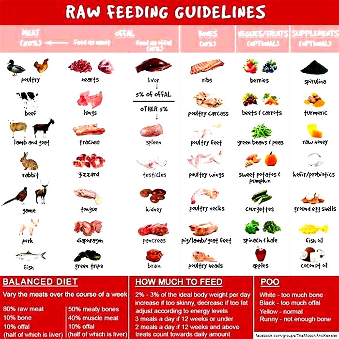 Essential Ingredients for Puppy Health in Science Diet Food