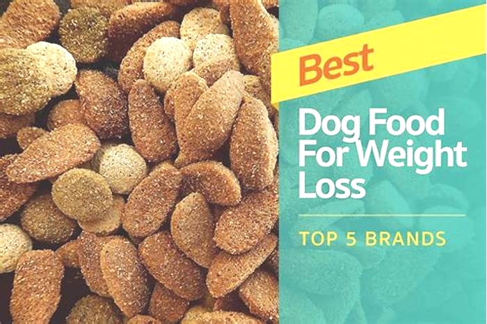 Essential Tips for Finding the Best Dry Food for Canine Weight Loss