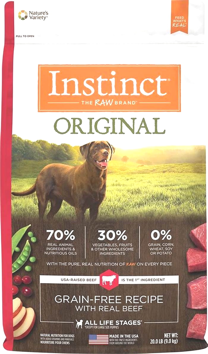 Evaluating the Top Dry Dog Food Brands Known for Supporting Weight Loss