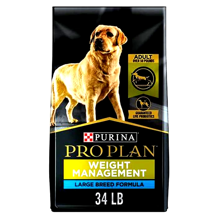 Exploring Dry Dog Food Formulas Ideal for Canine Weight Loss