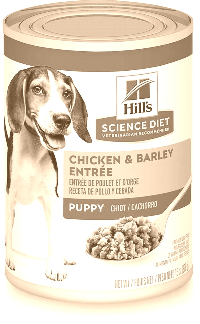 Exploring Science Diet Puppy Food Formulas