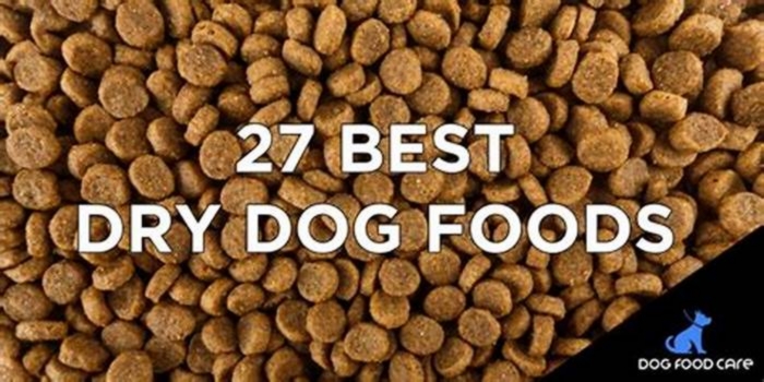 Exploring the Benefits of Optimal Dry Dog Food for Achieving Weight Loss