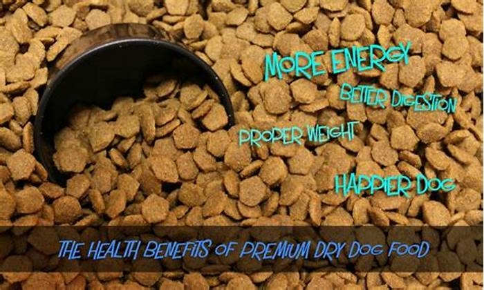 Exploring the Benefits of Premium Dry Dog Food for Achieving Weight Loss