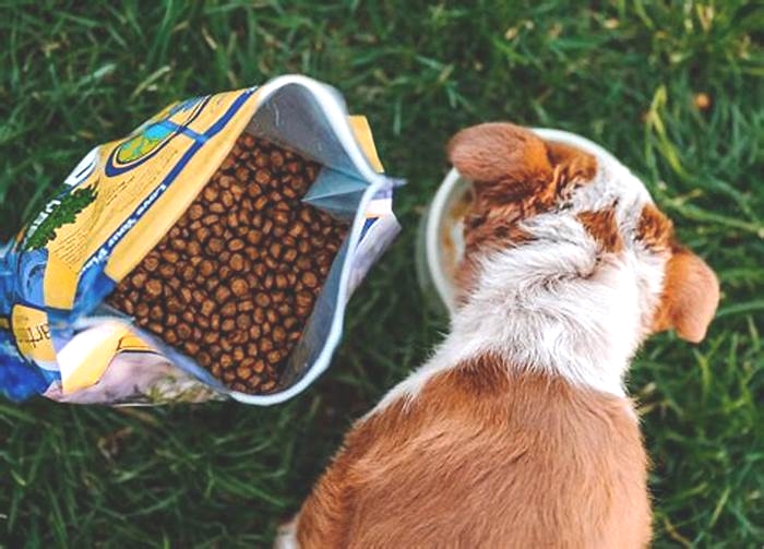 Exploring the Science Behind Holistic Puppy Food: What Makes It So Effective?