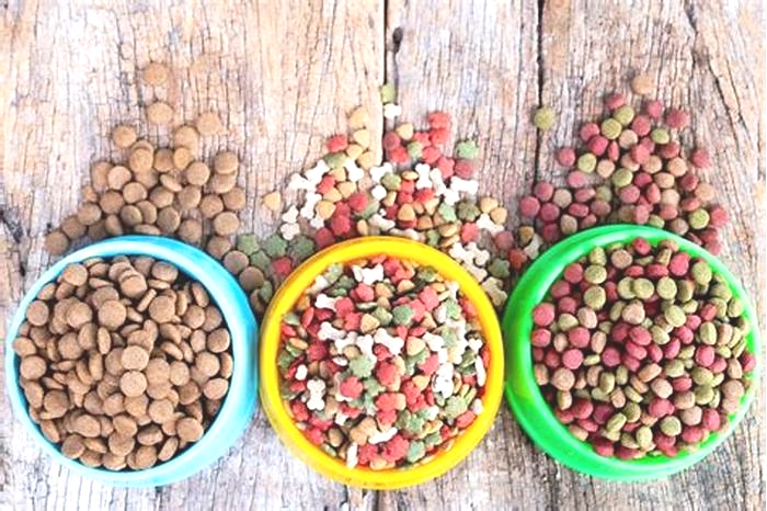 Exploring the Science Behind Top Breed Dog Food: What Makes It Unique?