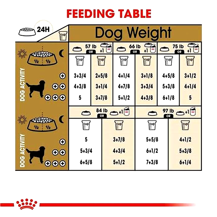 Exploring the Science Diet Puppy Food Formulation Process