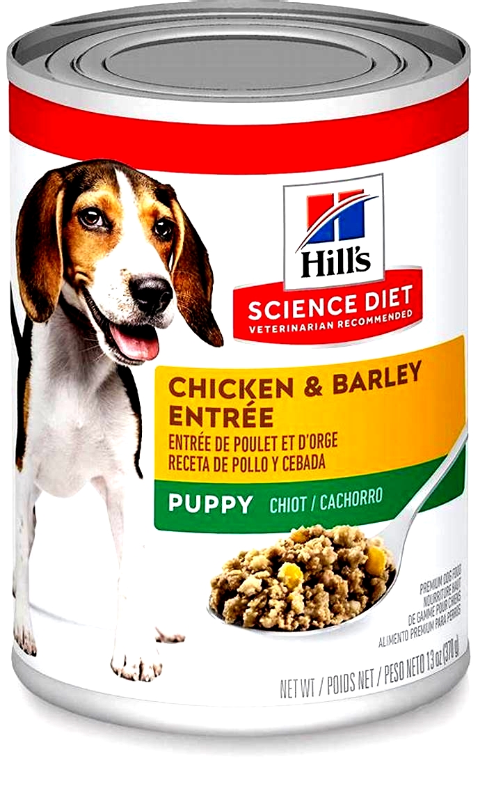 Exploring the Science Diet Puppy Food Range: Options for Every Pup