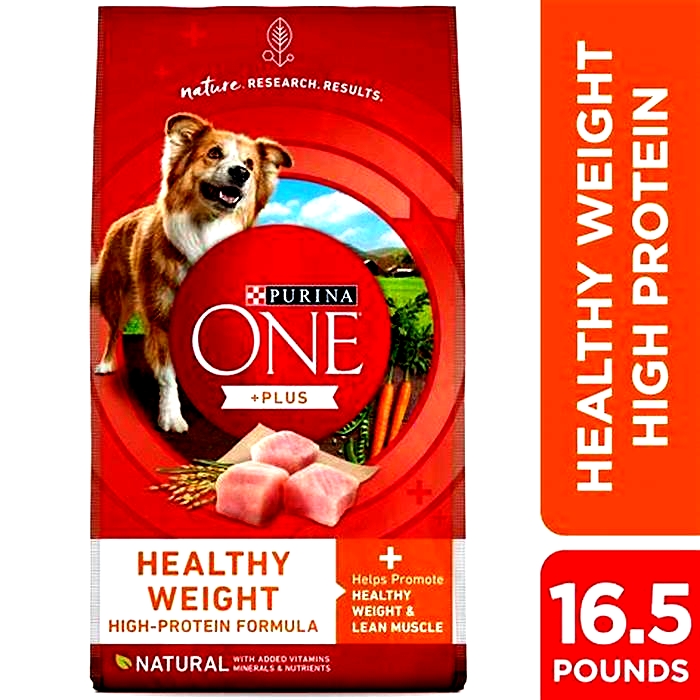 Finding the Ideal Dry Dog Food for Achieving Weight Loss Goals