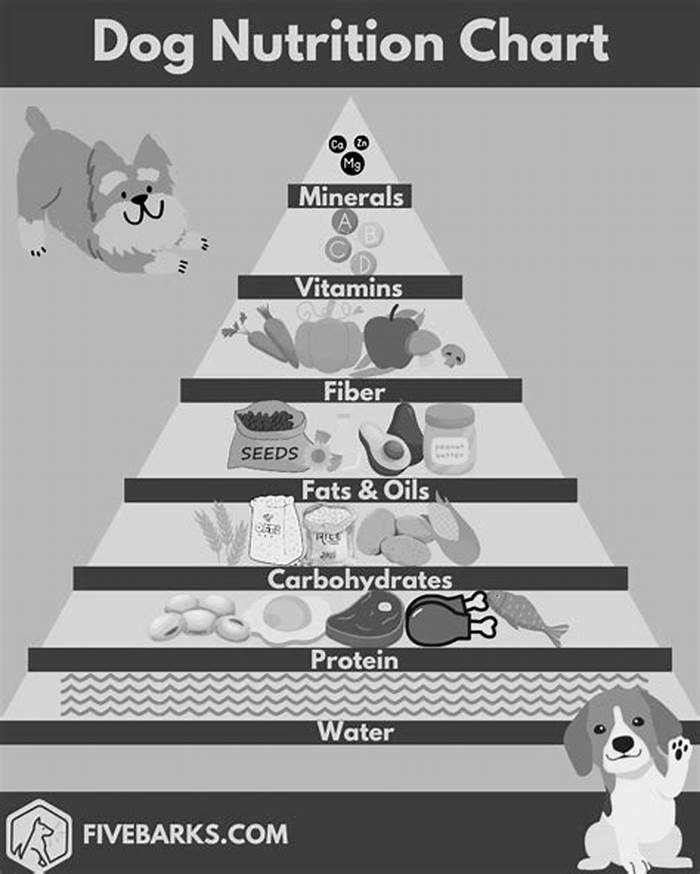 Finding the Right Balance: Creating a Nutritious Dog Diet Plan