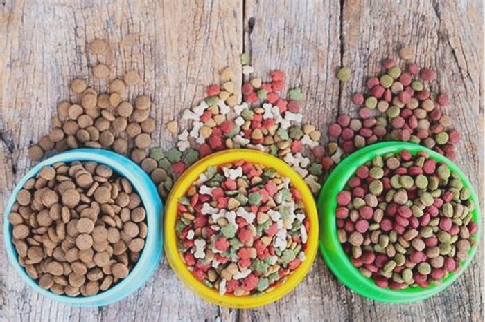 Fueling Dog Vitality: The Benefits of Choosing Top Breed Pet Food