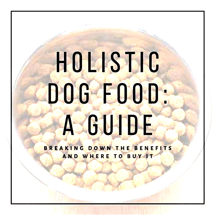 Fueling Happy Tails: How Holistic Pet Food Supports Puppy Wellness