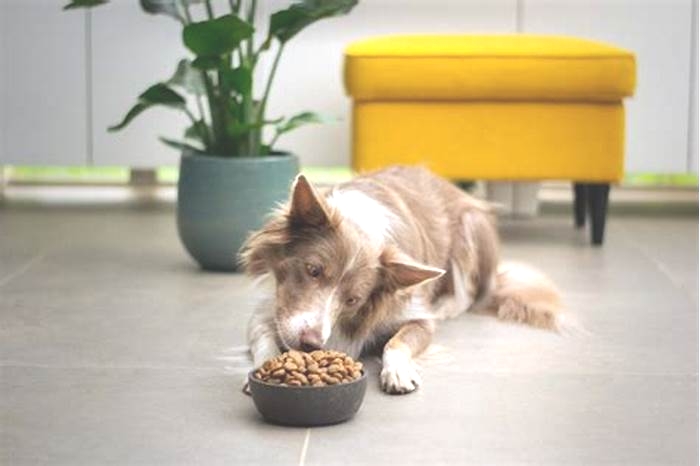 Fueling Puppy Vitality The Benefits of Choosing Holistic Pet Food